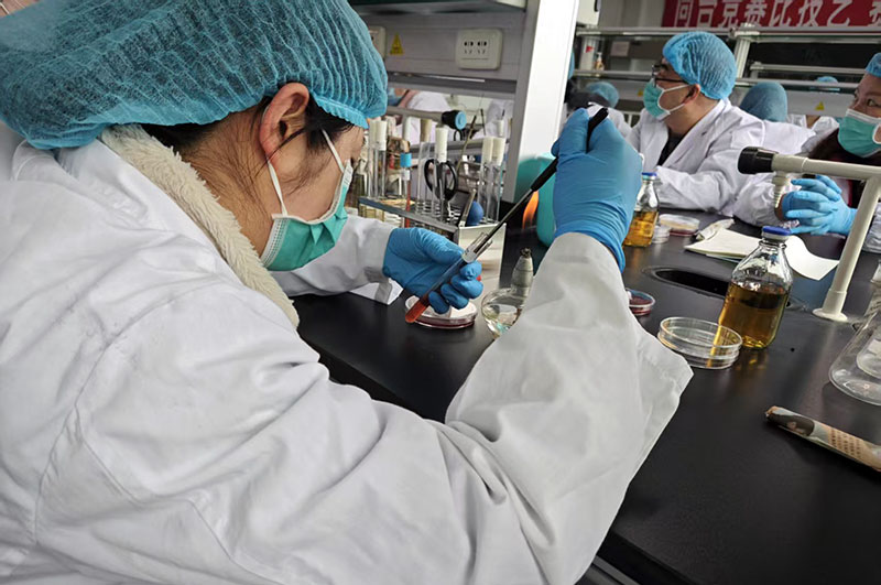 1743143415640054.jpg 1.jpg